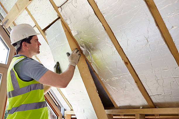Best DIY Insulation Kits and Guidance in Woodworth, OH